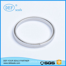 V Shape Spring Lip Seal with High Quality